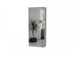 Распашной шкаф Bauhaus 8-2 BMS(Белье - Платье с полкой (2)) (750х2400х550)