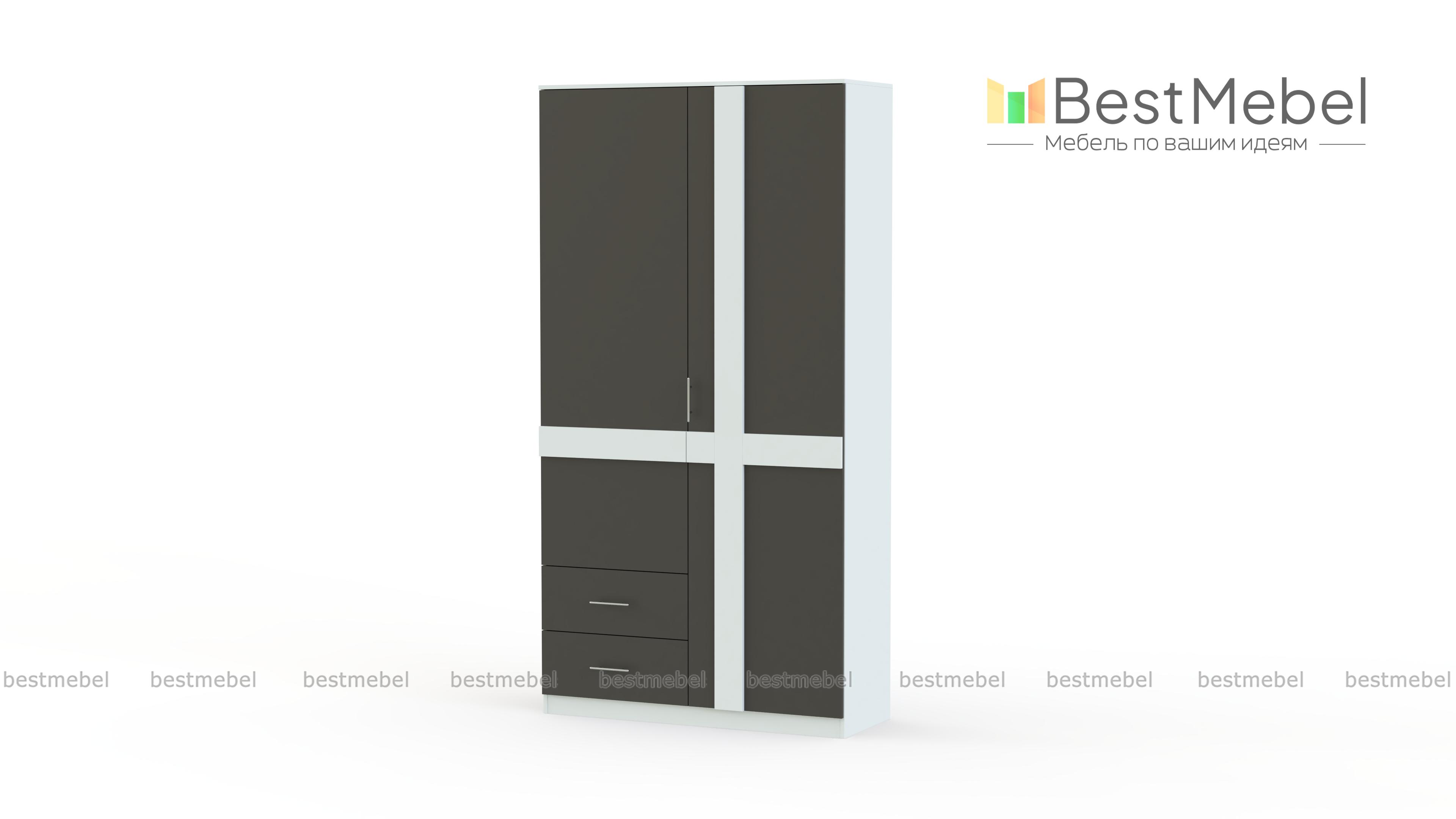 Распашной шкаф Зоя 1 BMS - Фото